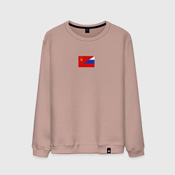 Мужской свитшот Россия символ минимализм