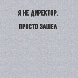 Свитшот хлопковый мужской Я не директор просто зашёл, цвет: меланж — фото 2