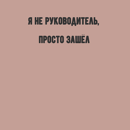 Мужской свитшот Я не руководитель просто зашёл / Пыльно-розовый – фото 3