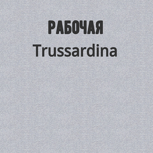 Мужской свитшот Рабочая trussardina / Меланж – фото 3