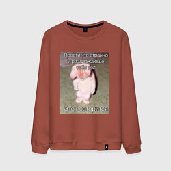 Мужской свитшот Котик плохо себя вёл мем