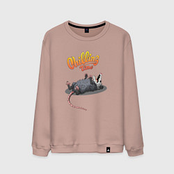 Свитшот хлопковый мужской Possum, цвет: пыльно-розовый