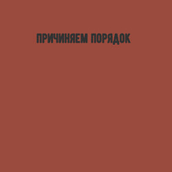 Свитшот хлопковый мужской Причиняем порядок, цвет: кирпичный — фото 2