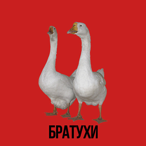 Мужской свитшот Гуси братья / Красный – фото 3