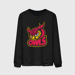 Мужской свитшот Team owls