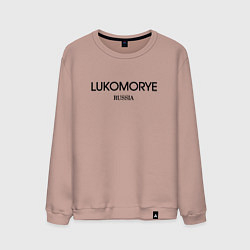 Мужской свитшот Lukomorye