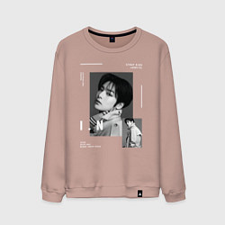 Мужской свитшот Stray kids IN