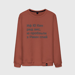 Свитшот хлопковый мужской Русский шпион, цвет: кирпичный