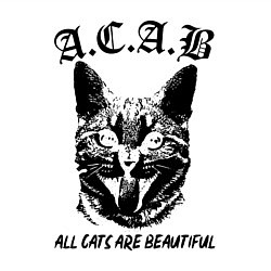 Свитшот хлопковый мужской All cats are beautiful, цвет: белый — фото 2