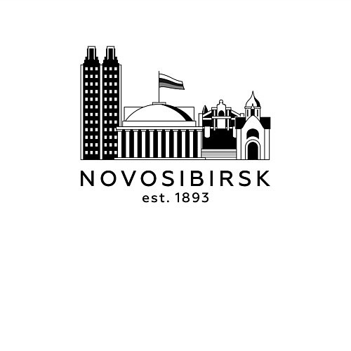 Мужской свитшот Новосибирск 1893 / Белый – фото 3