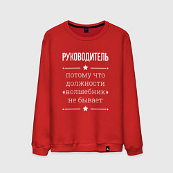 Свитшот хлопковый мужской Руководитель волшебник, цвет: красный