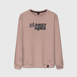 Мужской свитшот Planet of the apes logo