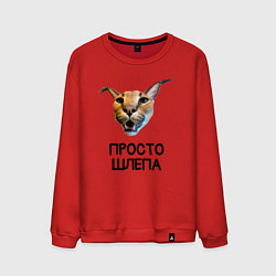 Мужской свитшот Большой Шлепа