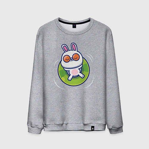 Мужской свитшот Кролик на чиле / Меланж – фото 1
