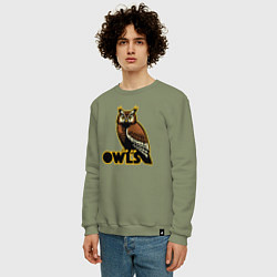 Свитшот хлопковый мужской Owls, цвет: авокадо — фото 2