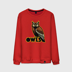 Свитшот хлопковый мужской Owls, цвет: красный