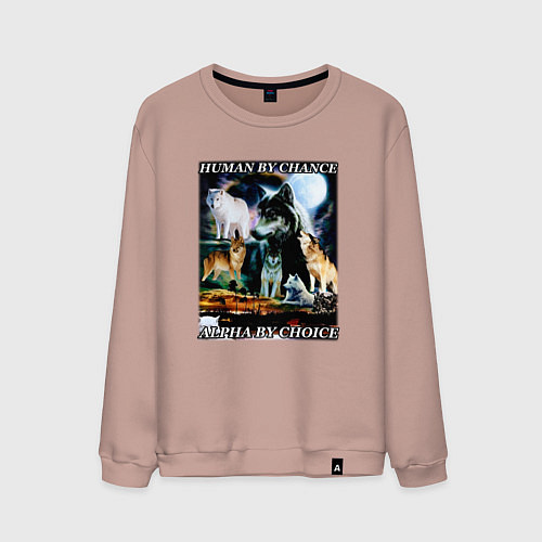 Мужской свитшот Человек по шансу - альфа по выбору / Пыльно-розовый – фото 1
