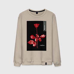 Мужской свитшот Depeche mode rose