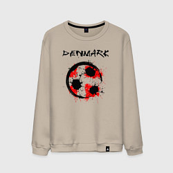 Мужской свитшот Сборная Дании