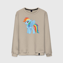 Свитшот хлопковый мужской Рейнбоу Дэш из My Little Pony в кино, цвет: миндальный