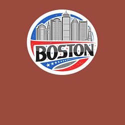 Свитшот хлопковый мужской City Boston, цвет: кирпичный — фото 2