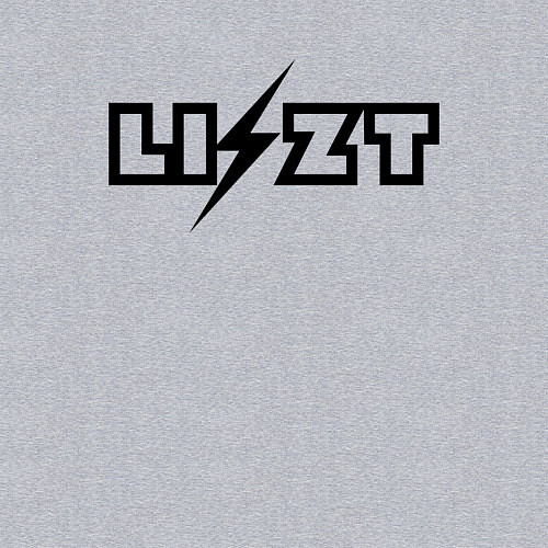 Мужской свитшот Ференц Лист чёрный / Меланж – фото 3