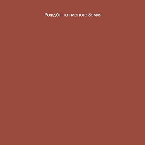 Мужской свитшот Рождён на планете Земля / Кирпичный – фото 3