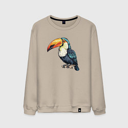 Свитшот хлопковый мужской Яркий тукан на ветке, цвет: миндальный
