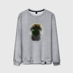 Мужской свитшот Ведьма из леса