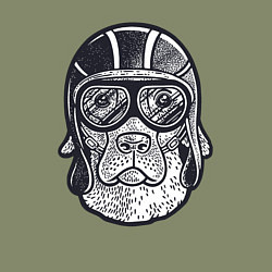 Свитшот хлопковый мужской Пёс авиатор, цвет: авокадо — фото 2