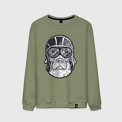 Свитшот хлопковый мужской Пёс авиатор, цвет: авокадо