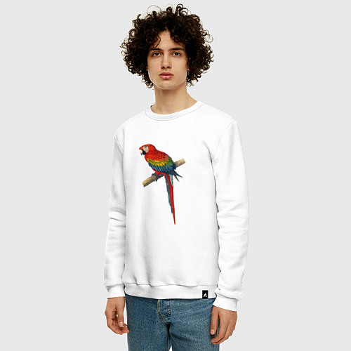 Мужской свитшот Попугай ara macaw / Белый – фото 3