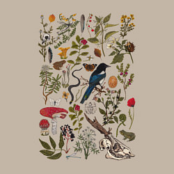 Свитшот хлопковый мужской Сорокино сокровище, цвет: миндальный — фото 2