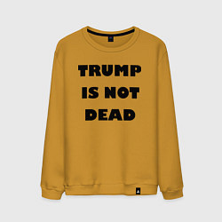 Свитшот хлопковый мужской Trump is not dead - motto, цвет: горчичный