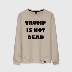 Мужской свитшот Trump is not dead - motto
