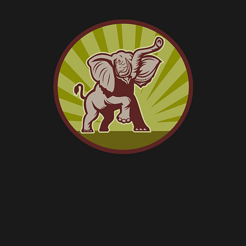 Мужской свитшот Слоник / Черный – фото 3