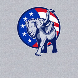 Свитшот хлопковый мужской USA elephant, цвет: меланж — фото 2