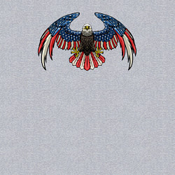 Свитшот хлопковый мужской Eagle America, цвет: меланж — фото 2