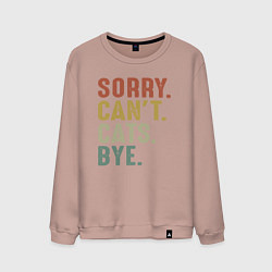 Мужской свитшот Извини не могу коты пока