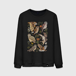 Мужской свитшот Разные совы и цветы