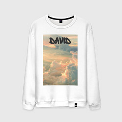 Свитшот хлопковый мужской David облака, цвет: белый