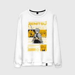 Мужской свитшот Зеницу Клинок рассекающий демонов стиль