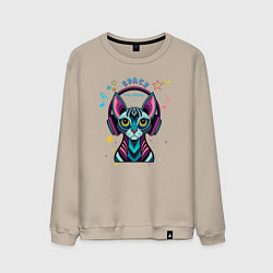 Мужской свитшот Кот в наушниках - музыка