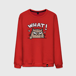 Мужской свитшот Портрет сердитого кота - what
