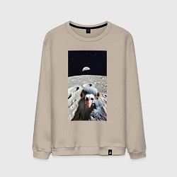 Мужской свитшот Голубь на луне делает селфи