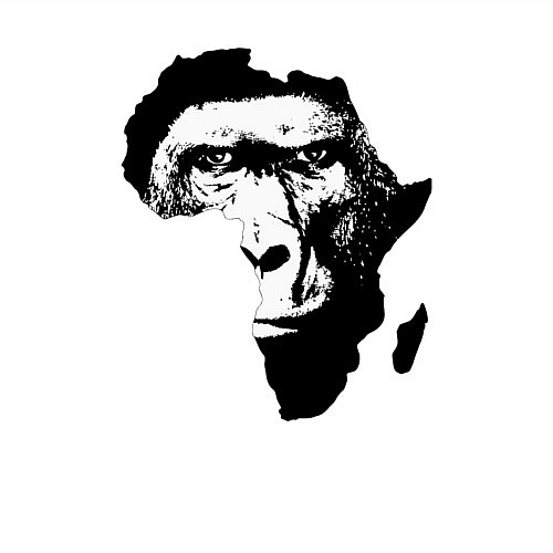 Мужской свитшот Обезьяна в Африке / Белый – фото 3