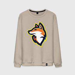 Мужской свитшот Fox team