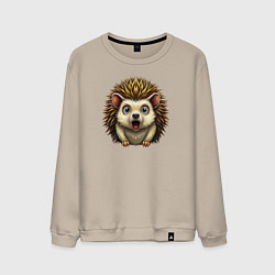 Мужской свитшот Крик ежика