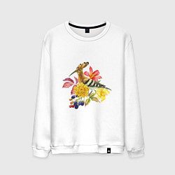 Мужской свитшот Осенний букет и птица удод
