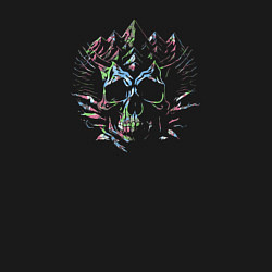 Свитшот хлопковый мужской Mindbender mountains skull, цвет: черный — фото 2